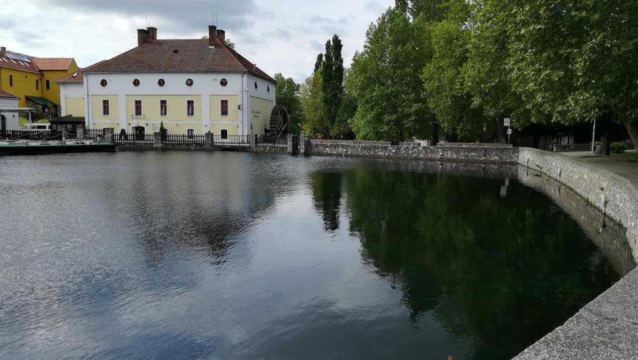 Monika Apartman Tapolca Exteriör bild